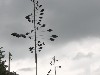 2007 05 05 58