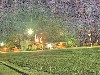 2007 07 26 52