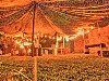 2007 07 26 49
