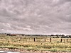 2007 07 29 87