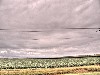 2007 07 29 84