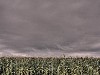 2007 07 29 80