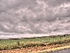 2007 07 29 77