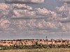 2007 07 28 5