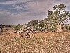 2007 07 27 1