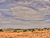 2007 07 26 b 5