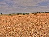 2007 07 26 b 4