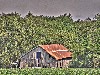2007 07 26 b 3