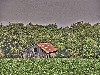 2007 07 26 b 2