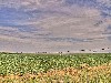 2007 07 26 b 1