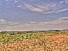 2007 07 26 b 11