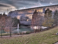 Crystal Bridge