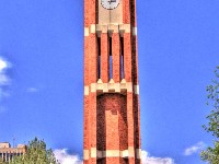 82