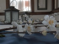 2007 04 28 34