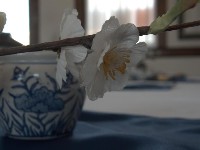 2007 04 28 33