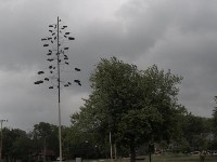 2007 05 05 48