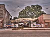 Fun Day 2007