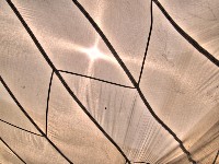 2007 07 29 49