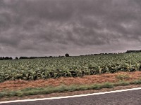 2007 07 29 89