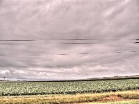 2007 07 29 84