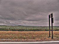 2007 07 29 83