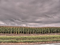 2007 07 29 81
