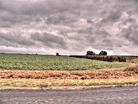 2007 07 29 79