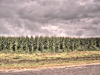 2007 07 29 78