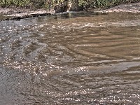 2007 07 27 14