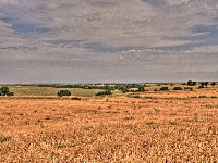 2007 07 26 b 9