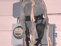 halloween 2007 8