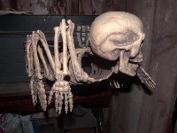 halloween 2007 19